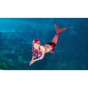 Firefish Caltuna