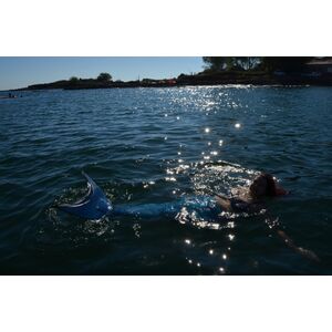 Playing by the dock