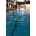 Schwimm Uebungen