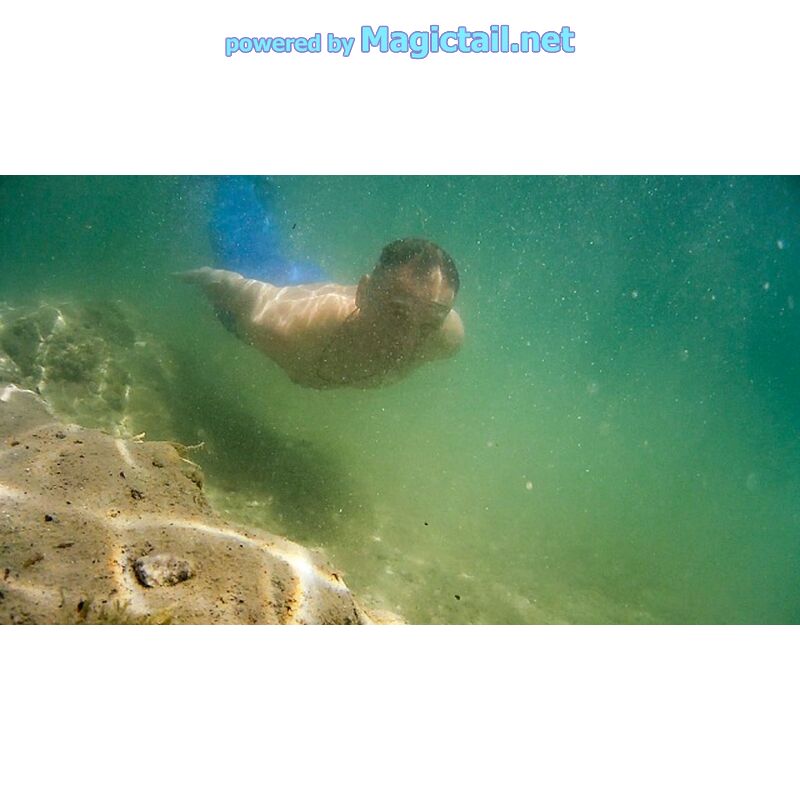 Sommer Tauchgang an einem Unterwasser Steilhang