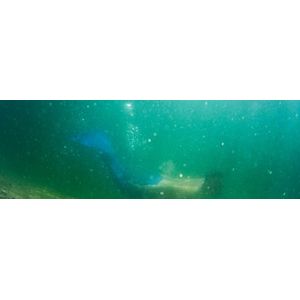 Sommer Tauchgang an einem Unterwasser Steilhang