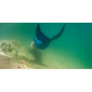 Sommer Tauchgang an einem Unterwasser Steilhang