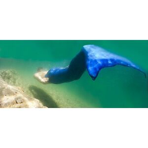 Sommer Tauchgang an einem Unterwasser Steilhang