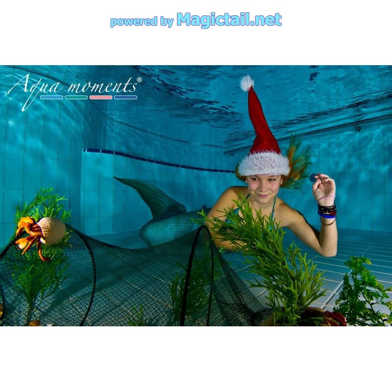 https://www.magictail.net/media/image/product/2306/lg/mermaid-moja-at-christmas-by-magictail-1929.jpg