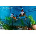 Two mermaids at Christmas