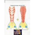 Butterfly Fish tail