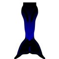 Fischhaut S