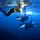 Meerjungfrauenschwanz MerOrca ohne Mono-Flosse Gre L