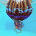 Blue Lionfish