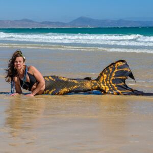 Pirate Curse Premium Pro M