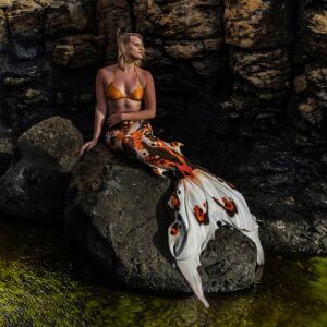 Higashi Koi Premium Pro L