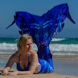 Searina premium pro L