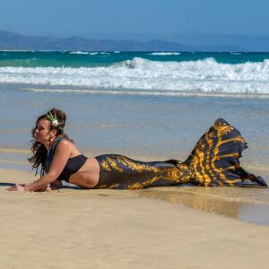 Pirate Curse premium pro L