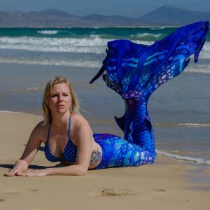 Searina premium pro XL