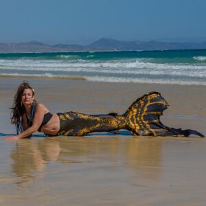 Pirate Curse Premium Pro XL