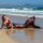 Mermaid tail Red Siam