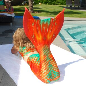 Kostüm Copper Fish XS