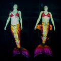 Mermaid tail Nymphea
