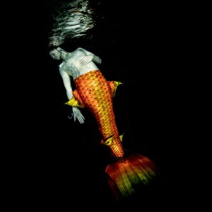 Gold Splash Premium Pro XL