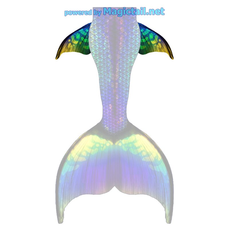 Aurora Falls XL hip fins

