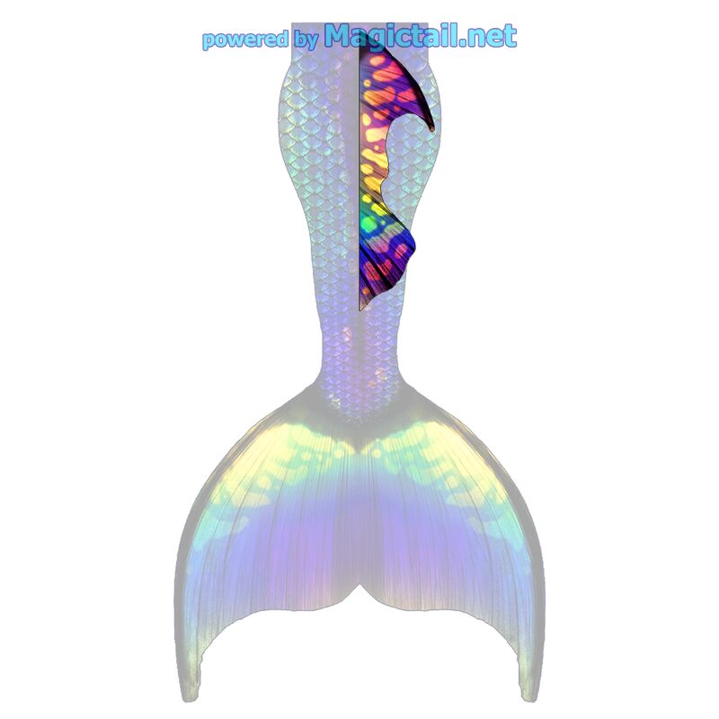 Aurora Falls XL dorsal fin

