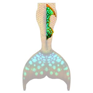 Tropical Glow M dorsal fin