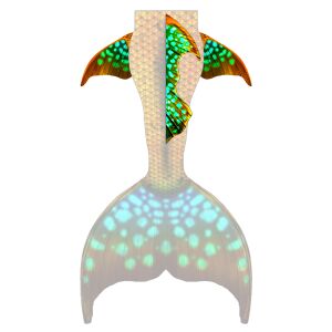 Tropical Glow M dorsal and hip fins