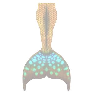 Tropical Glow L no extra fins