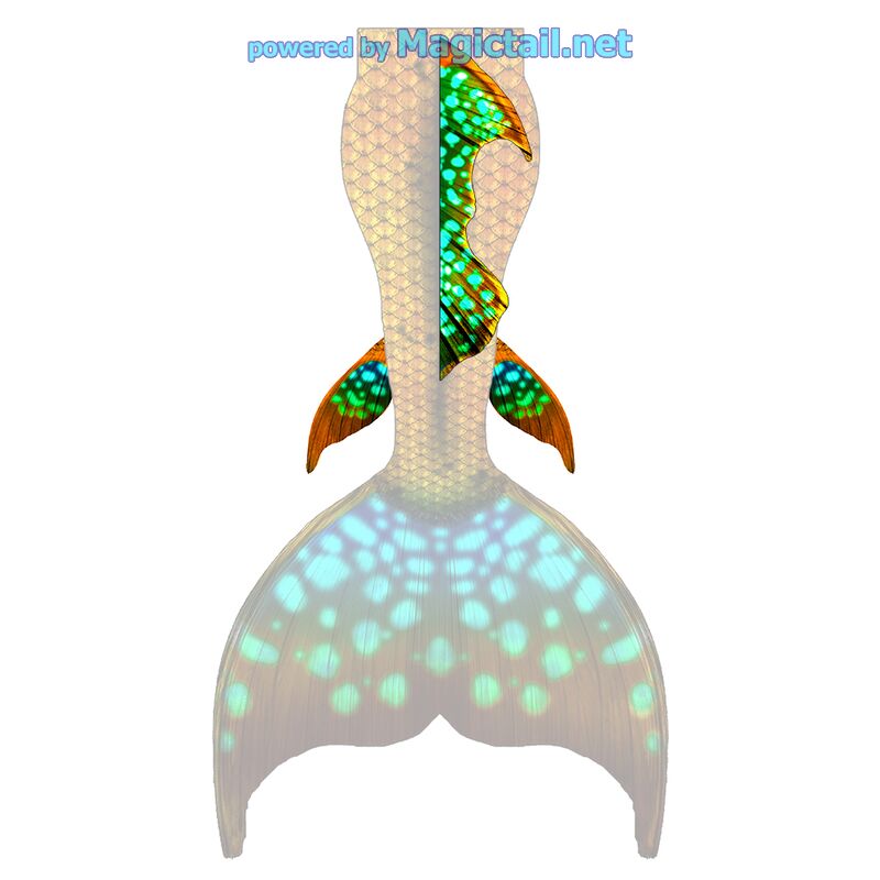 Tropical Glow L dorsal and lower fins


