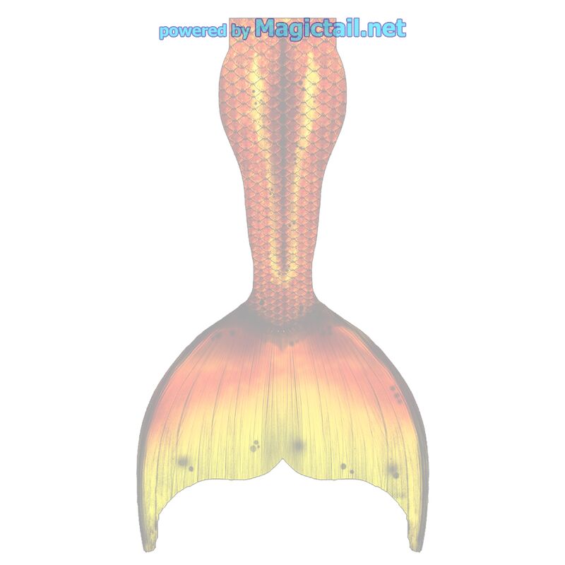 Gold Splash M no extra fins

