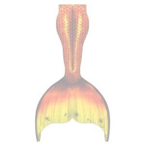 Gold Splash L no extra fins