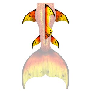 Gold Splash L dorsal, hip and lower fins