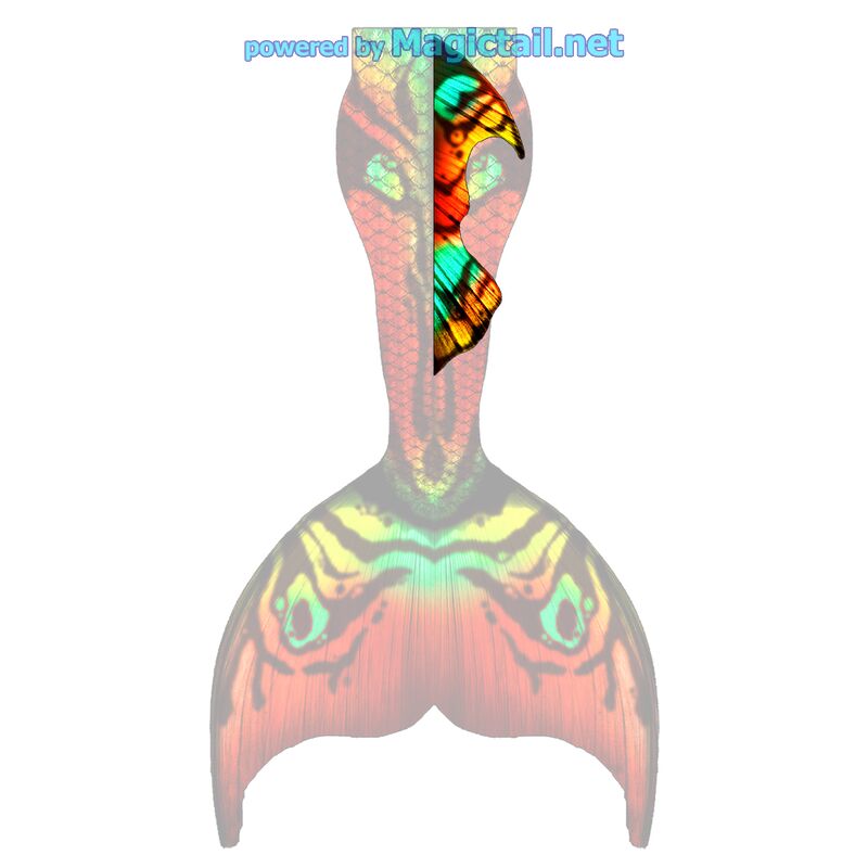 Jungle Flow L dorsal fin

