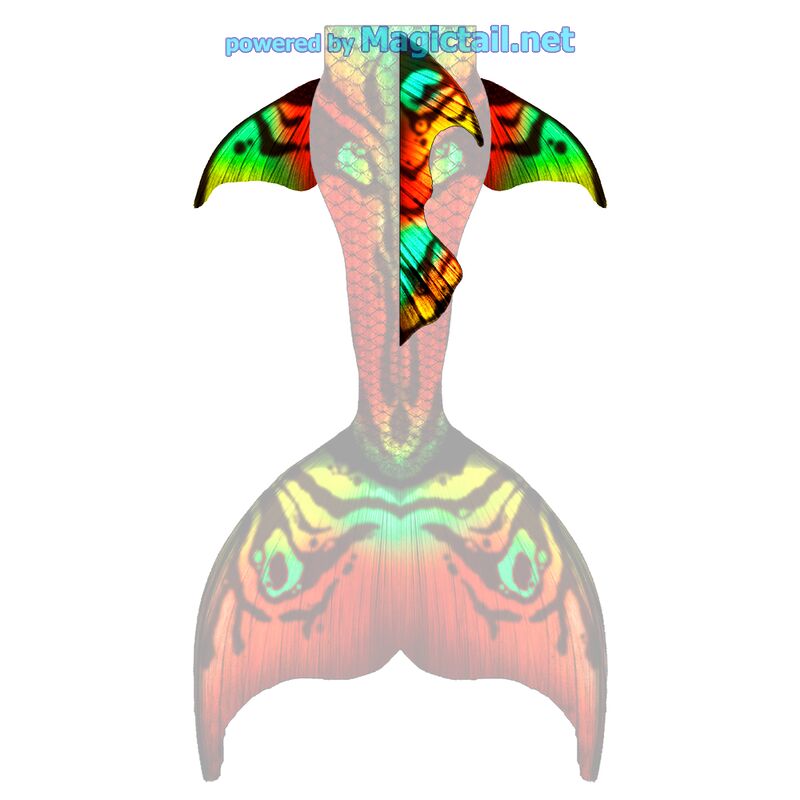 Jungle Flow L dorsal and hip fins


