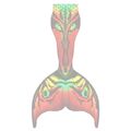 Jungle Flow XL no extra fins

