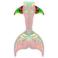 Jungle Flow XL hip fins

