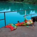 Mermaid tail Jungle Flow M