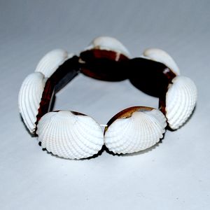 Scallop bracelett